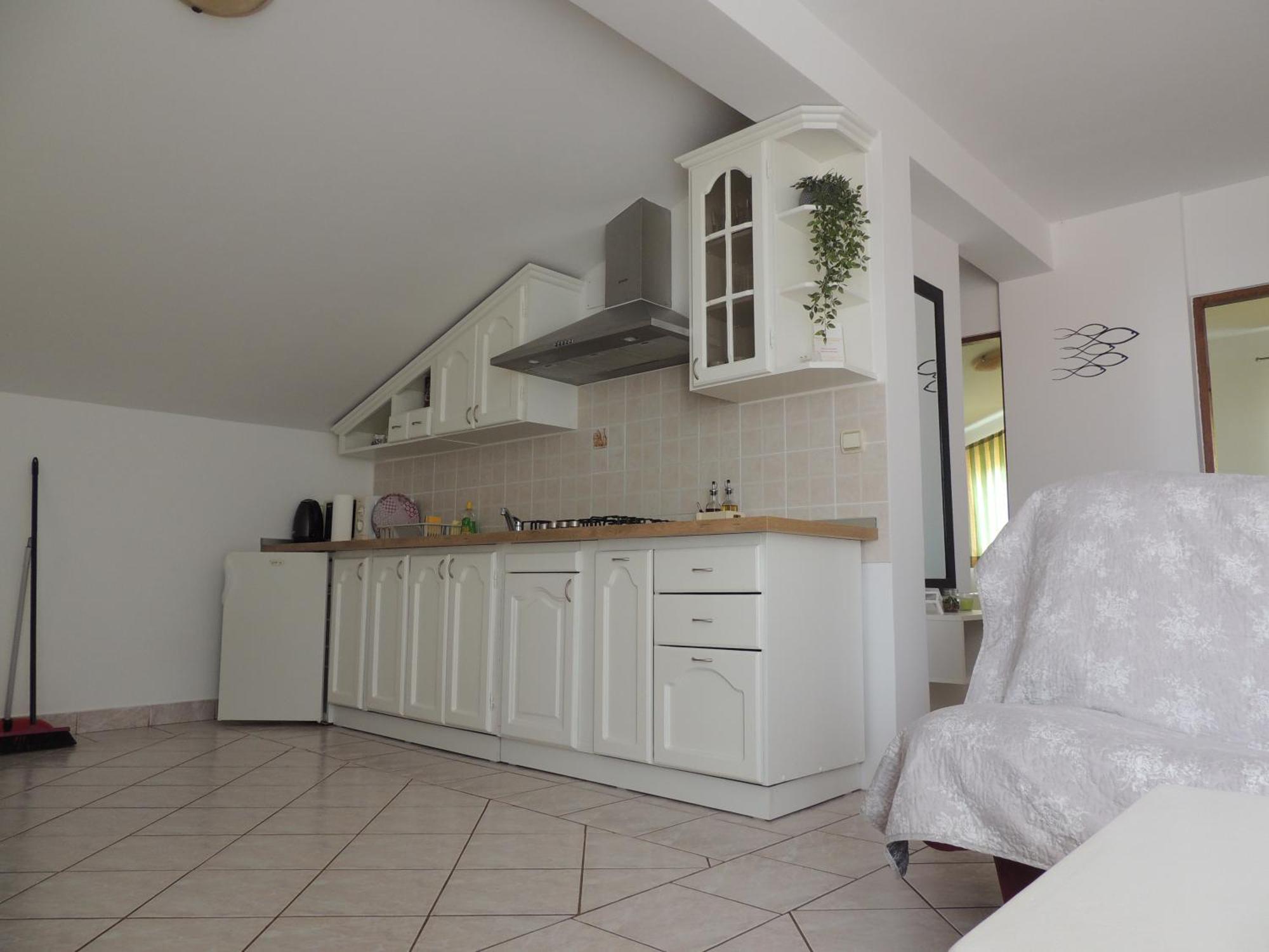 Apartment Brkanac *